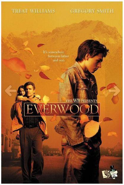 Everwood - T1 a T4